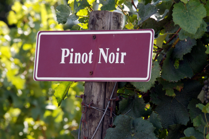 Excellent Pinot Noir for Summer